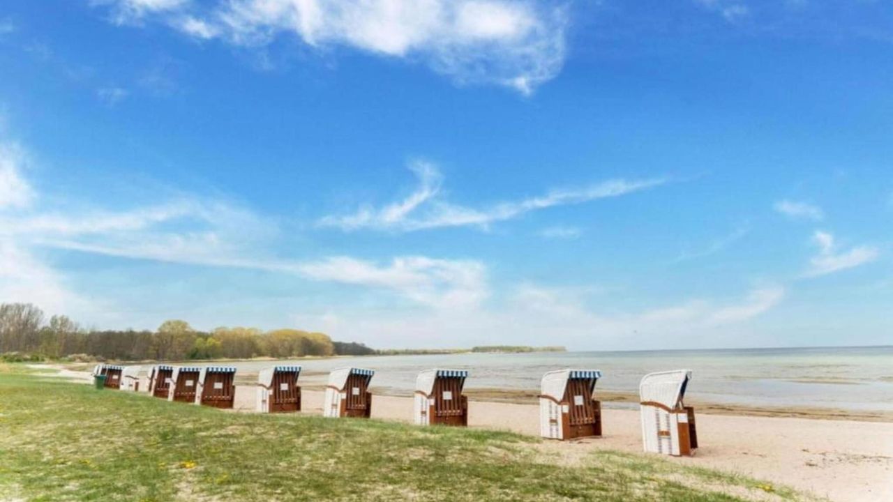 AreaSummer5KM AreaSummer5KM